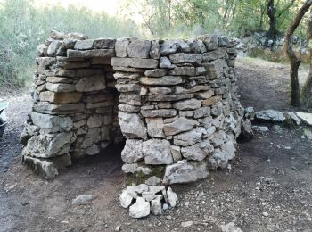 Tocht Stappen Le Beausset - Quatre frères - Abîme de Maramoye - Photo