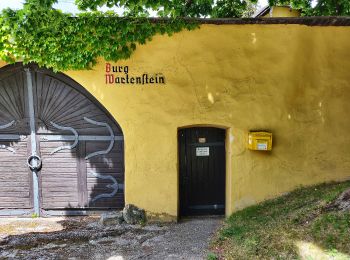 Trail On foot Gemeinde Kirchberg am Wechsel - Kranichberg Schloß - Egg - Raach - Photo