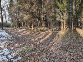 Randonnée A pied Bolatice - Lesní naučná stezka v Chuchelenském lese - Photo