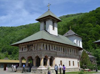 Excursión A pie Petrila - Defileul Jiului - Șaua Prisloapelor - Vf. Parângul Mare - Photo