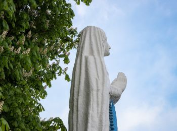Percorso A piedi Hotton - 12. Vierge de Werpin - Photo