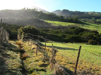 Tour Wandern Le Tampon - Randos Festives du 11 octobre 2020 : La Boucle du Piton Guichard - Photo