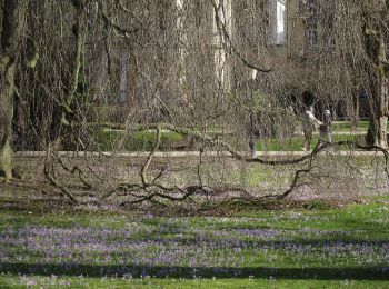 Tocht Te voet  - Panoramaweg - Etappe 4 - Photo