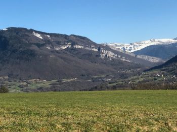 Tour Wandern Chainaz-les-Frasses - Entre Albanais et Chéran - Photo