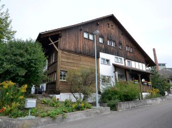 Trail On foot Uster - Uster - Effretikon - Photo