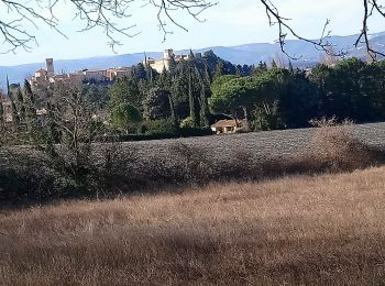 Randonnée Marche Puygiron - Puygiron Village 7 km  - Photo