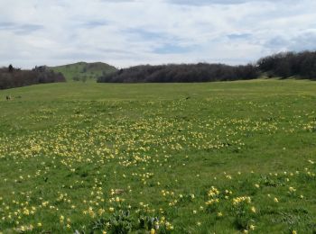 Tour Wandern Corbonod - SUR LYAND - Photo