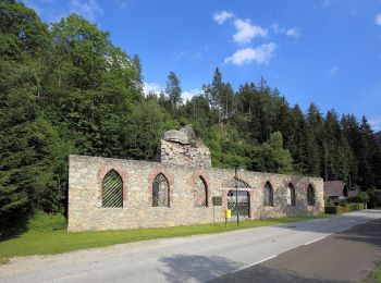 Tocht Te voet Gemeinde Spital am Semmering - Wanderweg 4 - Photo