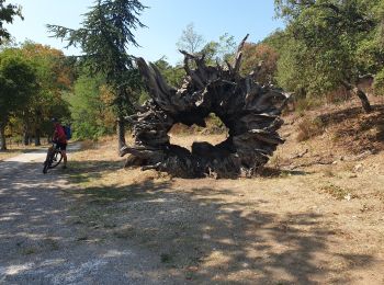 Percorso Mountainbike La Londe-les-Maures - Valcros ,Babaou,La Verne - Photo