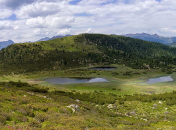 Tocht Te voet Villanders - Villandro - AVS 6 - Gasserhütte - Schloss Reinegg - Photo