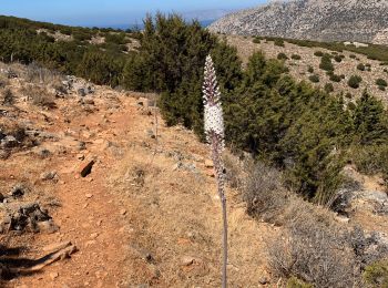 Trail Walking - Kamares 2 - Photo
