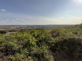 Tocht Stappen Dommartemont - Dommartemont  - Photo