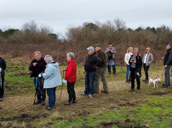 Percorso Marcia Morcenx-la-Nouvelle - Arjuzanx - tour du lac par le jardin de Miocène - 7.5 - Photo