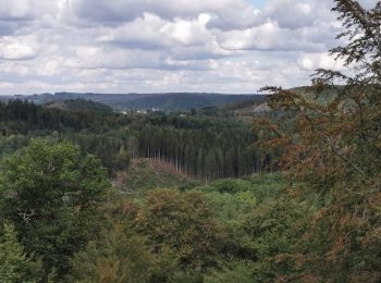 Tour Wandern Florenville - St Cécile-Herbeumont 2020 13km600 - Photo