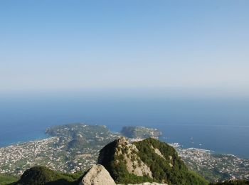 Trail On foot Forio - IT-501 - Photo