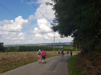 Randonnée Marche Donzac - Donzac Les vergers - Photo