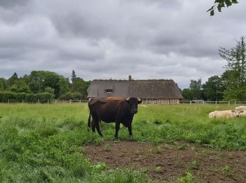 Tour Wandern Condé-sur-Risle - Condé sur Risle - Photo