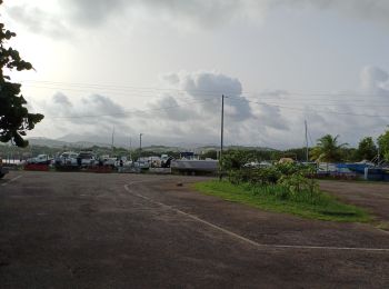 Tocht Stappen Le Lamentin - Boucles de Morne Cabrit - Photo