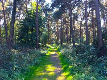 Tocht Te voet Kamp-Lintfort - Leucht Rundweg A6 - Photo