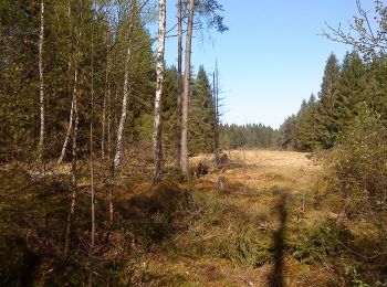 Tocht Te voet Flörsbachtal - Ortswanderweg Flörsbachtal 9 - Photo