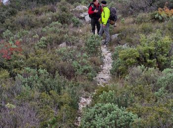 Trail Walking Rognes - rognes - Photo