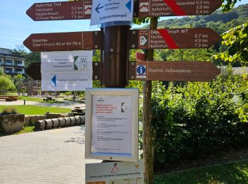 Percorso Marcia Waldbillig - Müllerthal W7 par la déviation - Photo