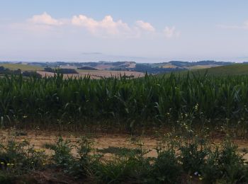 Trail Walking Montferrand - balade autour de Montferrand  - Photo