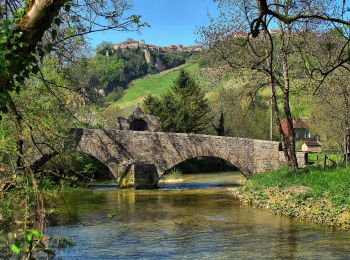 Randonnée A pied Nevy-sur-Seille - Tour Reculées Baume - Photo