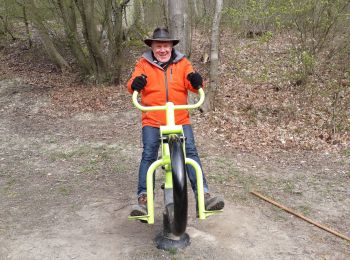 Trail Walking Morlanwelz - mariemont,  bois et parc - Photo