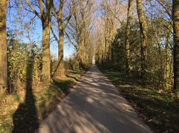 Randonnée Marche Chaumont-Gistoux - BE-Chaumont-Gistoux - Vieusart  - Photo