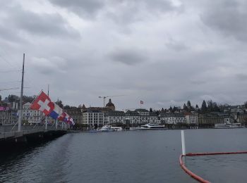 Trail On foot Lucerne - Luzern - Talacheri - Photo