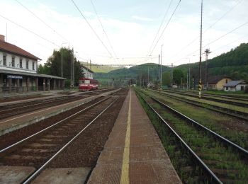 Excursión A pie okres Zvolen - Náučný chodník Boky - Photo