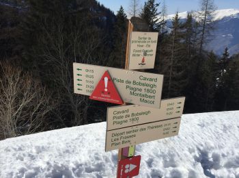 Tour Wandern La Plagne-Tarentaise - Les Frasses  - Photo