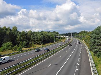 Tour Zu Fuß Apeldoorn - Deelerwoud - Blauw - Photo