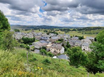 Randonnée Marche Laguiole - laguiole - saint urtiz - Photo