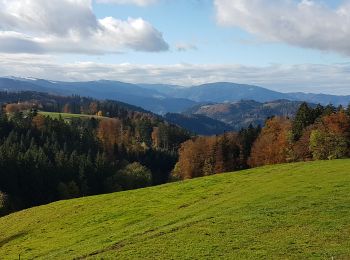 Tocht Stappen St. Märgen - Cascade Zweribach depuis Sankt Märgen - Photo