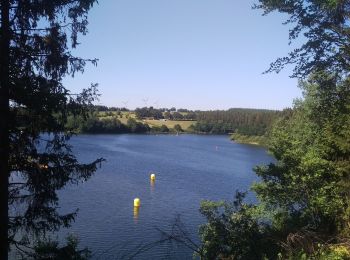 Excursión Senderismo Bütgenbach - Around the lake of Butgenbach - Photo