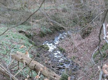 Randonnée A pied Inconnu - Erlenloch, Naturparkweg 28 - Photo