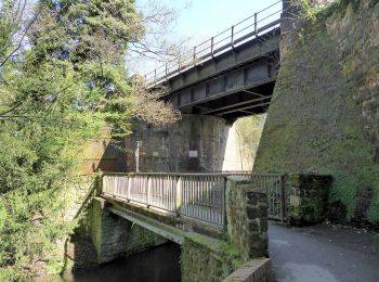 Percorso A piedi Horsham - Riverside Walk - Photo