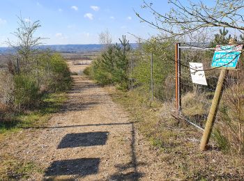 Trail Walking Terres de Bord - rando du 19 mars 2021 - Photo