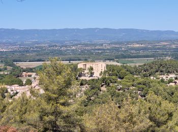 Excursión Senderismo Meyrargues - alentours de Meyrargues tracé bleu - Photo