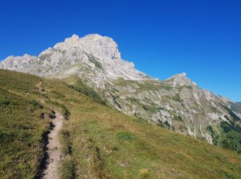 Excursión A pie Pellafol - La grande tête de l'Obiou - Photo