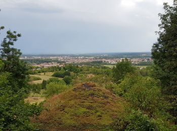 Tocht Mountainbike Croismare - sortie VTT du 30072019 Le haut de la Coyes - Photo