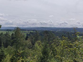 Randonnée Vélo électrique Granges-Aumontzey - granges-Spie mont-pierre sacrifice - Photo