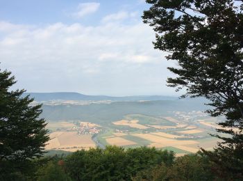 Percorso A piedi Meinhard - RW 3 Schöne Aussicht und Hörne - Photo