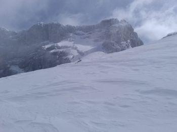 Excursión Esquí de fondo Villard-de-Lans - Ric du Cornafion et Rocher de l'ours - Photo