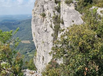 Randonnée Marche Rouet - La corniche de l'Hortus - Photo