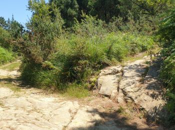 Tocht Stappen Hondarribia/Fontarrabie - Le Jaizkibel - Phare du Figuier jusqu'au Jaiskibel - Photo