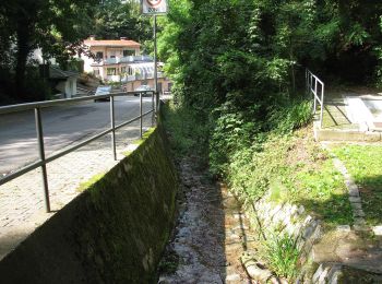 Excursión A pie Seeheim-Jugenheim - Rundwanderweg Alsbach-Hähnlein Sperbergrund 8: Jossa-Weg - Photo