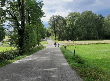 Excursión Paseo ecuestre Entrelacs - Crosagny 15.08.2019 - Photo